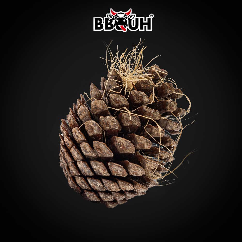 Anzünder für Kamin und Grill - 10kg Anzünder BBQUH Power Zapfen in Wachs getränkt, umweltschonende Alternative zur Holzwolle, Kein Parafin