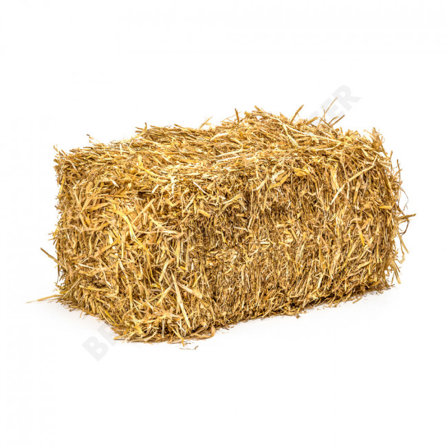 Bildergebnis fÃ¼r stroh