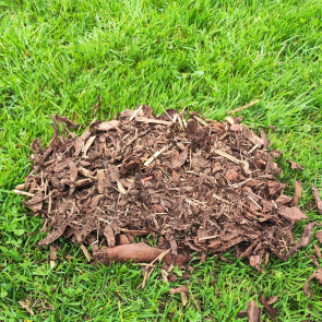 Rindenmulch Fein