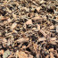 Rindenmulch mittlere Körnung - 10mm - 40mm